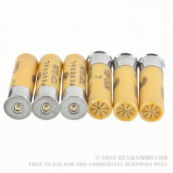 250 Rounds of 20ga Ammo by Federal - 7/8 ounce #7 Shot (Steel)