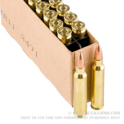 20 Rounds of .223 Ammo by Winchester - 62gr FMJ
