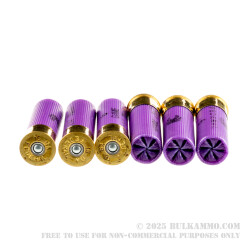 250 Rounds of 16ga Ammo by Federal - 1 ounce #6 shot