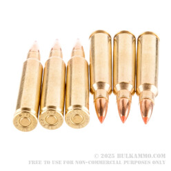 20 Rounds of .223 Ammo by Nosler Trophy Grade Varmint Ammunition - 35 gr Polymer Tipped
