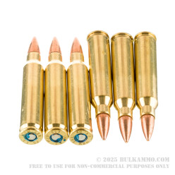 20 Rounds of .223 Ammo by Federal - 55gr FMJBT