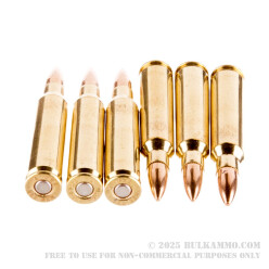 20 Rounds of .223 Ammo by Armscor - 55gr FMJBT