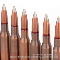 440 Rounds of 7.62x54r Ammo by Bulgarian Surplus - 147gr FMJ