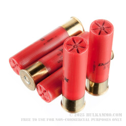 10 Rounds of 12ga Ammo by Winchester Double X Magnum Turkey Load - 2-1/4 oz. #5 shot