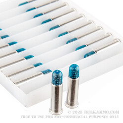20 Rounds of .22 LR Ammo by CCI - 31gr #12 Shotshell