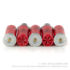 25 Rounds of 12ga Ammo by Winchester - 1 ounce #6 lead shot