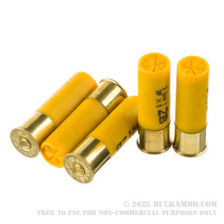 25 Rounds of 20ga Ammo by Aguila - 1 ounce #2 Buck