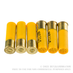 25 Rounds of 20ga Ammo by Aguila - 1 ounce #2 Buck
