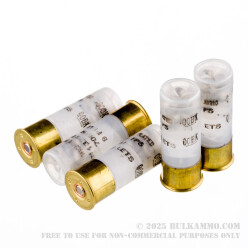 10 Rounds of 12ga High Velocity Ammo by Fiocchi -  00 Buck