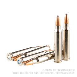 20 Rounds of .223 Ammo by Federal LE Tactical - 55gr Bonded SP