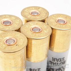 5 Rounds of 12ga Ammo by Rio - 1 ounce Rifled Slug