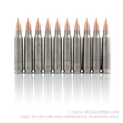 20 Rounds of .223 Ammo by Colt (Silver Bear) - 62gr FMJ