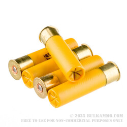 25 Rounds of 20ga Ammo by Hevi-Shot - 1 ounce #4 shot