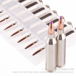 20 Rounds of .243 Win Ammo by Federal Vital-Shok - 55gr Nosler Ballistic Tip