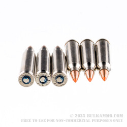 20 Rounds of .223 Ammo by Federal - 55gr Nosler Ballistic Tip