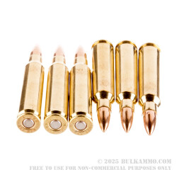 20 Rounds of .223 Ammo by Armscor - 55gr FMJBT
