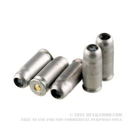 10 Rounds of .45 ACP Ammo by CCI - 1/3 ounce #9 shot
