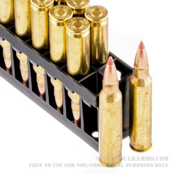 20 Rounds of .223 Ammo by Hornady - 35 gr Non-Toxic Polymer Tipped