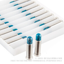 20 Rounds of .22 LR Ammo by CCI - 31gr #12 Shotshell