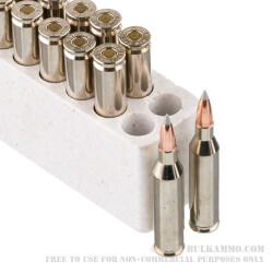 20 Rounds of .243 Win Ammo by Winchester Ballistic SilverTip - 95gr Polymer Tipped